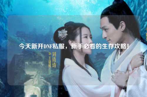 今天新開DNF私服,新手必看的生存攻略!