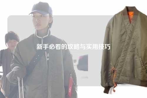 新手必看的攻略與實用技巧