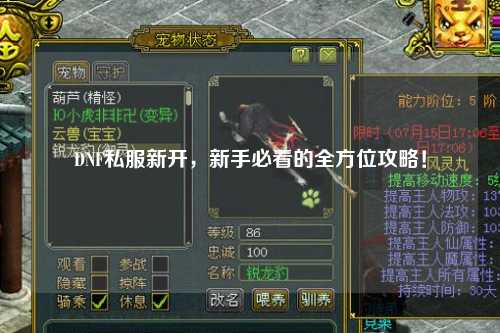 DNF私服新開，新手必看的全方位攻略！
