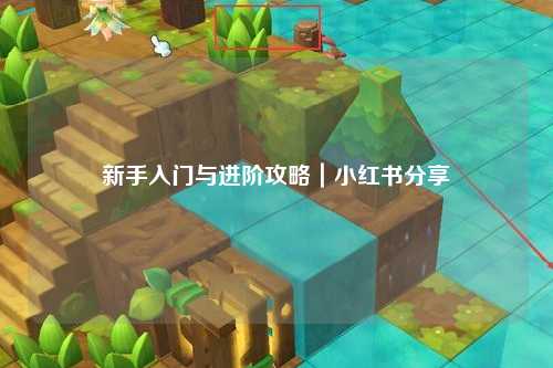 新手入門與進階攻略|小紅書分享