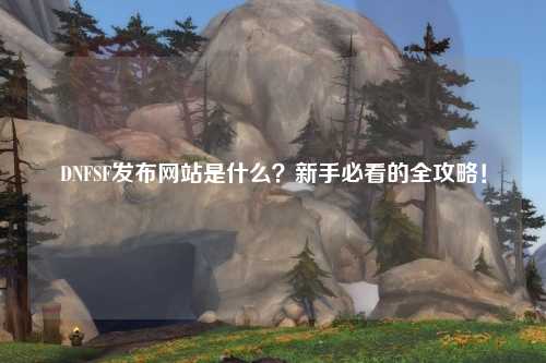 DNFSF發(fā)布網(wǎng)站是什么?新手必看的全攻略!