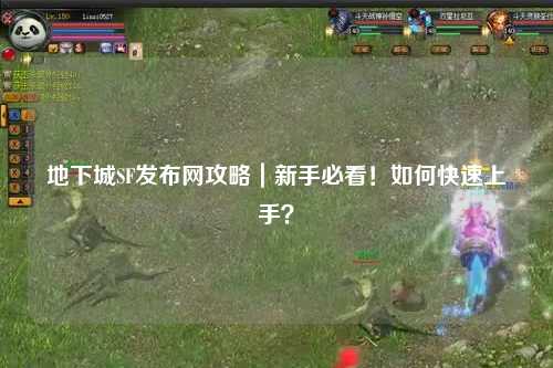 地下城SF發(fā)布網攻略｜新手必看！如何快速上手？