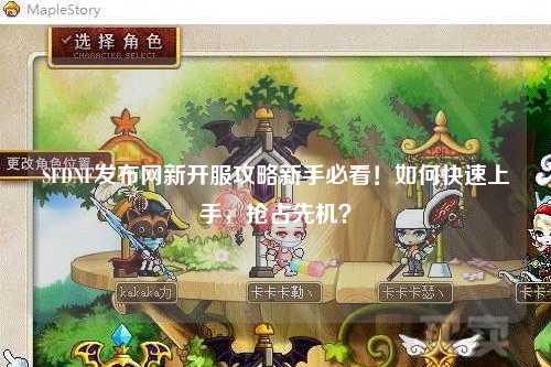 SFDNF發布網新開服攻略新手必看!如何快速上手,搶占先機?