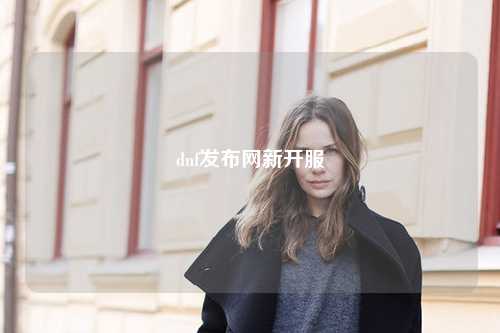 dnf發(fā)布網(wǎng)新開(kāi)服