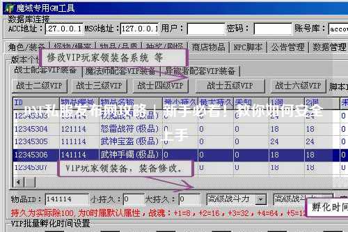 DNF私服發(fā)布網(wǎng)攻略 | 新手必看！教你如何安全上手