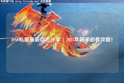 DNF私服最新動態分享 | 2025年新手必看攻略!