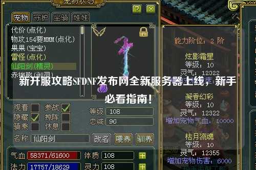 新開服攻略SFDNF發布網全新服務器上線，新手必看指南！