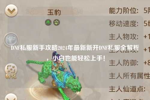 DNF私服新手攻略2024年最新新開DNF私服全解析，小白也能輕松上手！