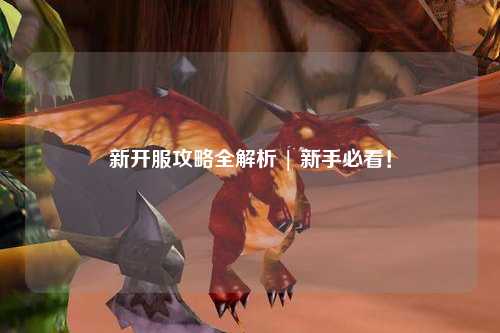 新開服攻略全解析 | 新手必看！
