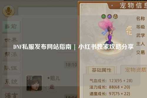 DNF私服發布網站指南 | 小紅書獨家攻略分享