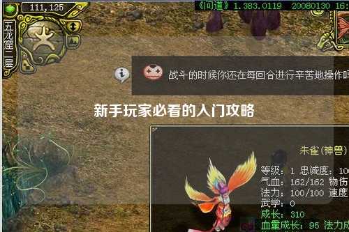 新手玩家必看的入門(mén)攻略