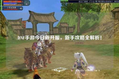 DNF手游今日新開服，新手攻略全解析！