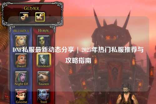 DNF私服最新動(dòng)態(tài)分享 | 2025年熱門私服推薦與攻略指南