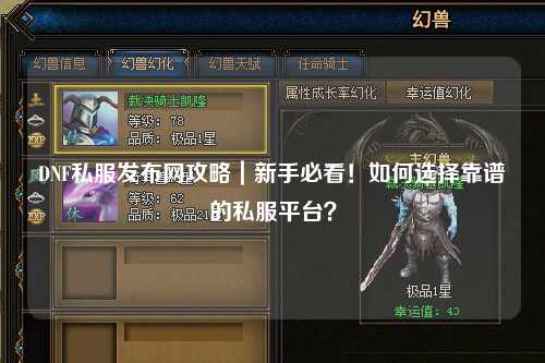 DNF私服發布網攻略|新手必看!如何選擇靠譜的私服平臺?