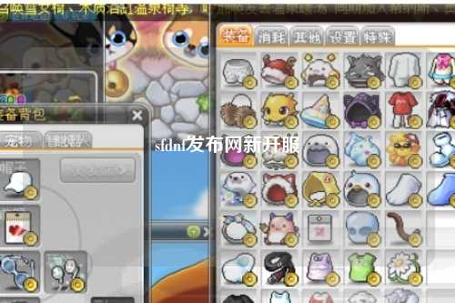 sfdnf發(fā)布網(wǎng)新開服