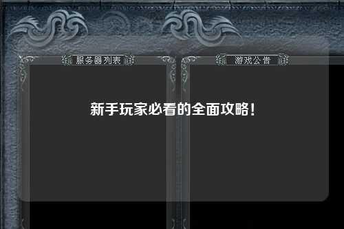 新手玩家必看的全面攻略！