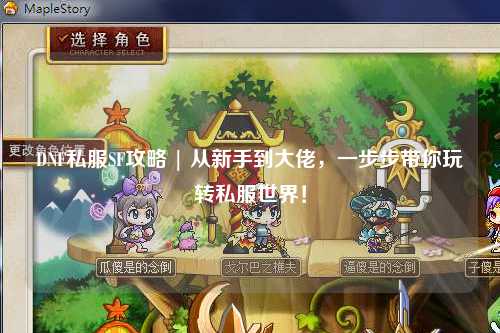 DNF私服SF攻略 | 從新手到大佬,一步步帶你玩轉私服世界!