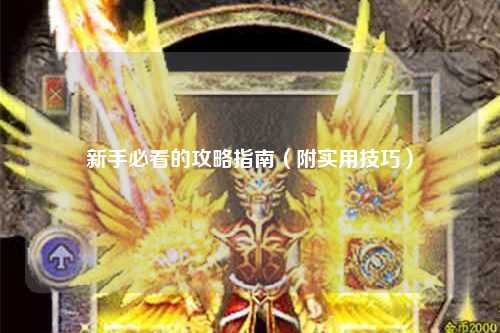 新手必看的攻略指南(附實用技巧)