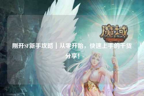 剛開SF新手攻略｜從零開始，快速上手的干貨分享！